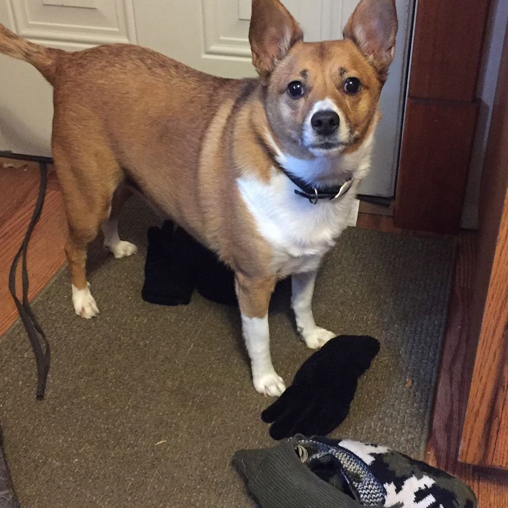 Meet your Posher, Terri